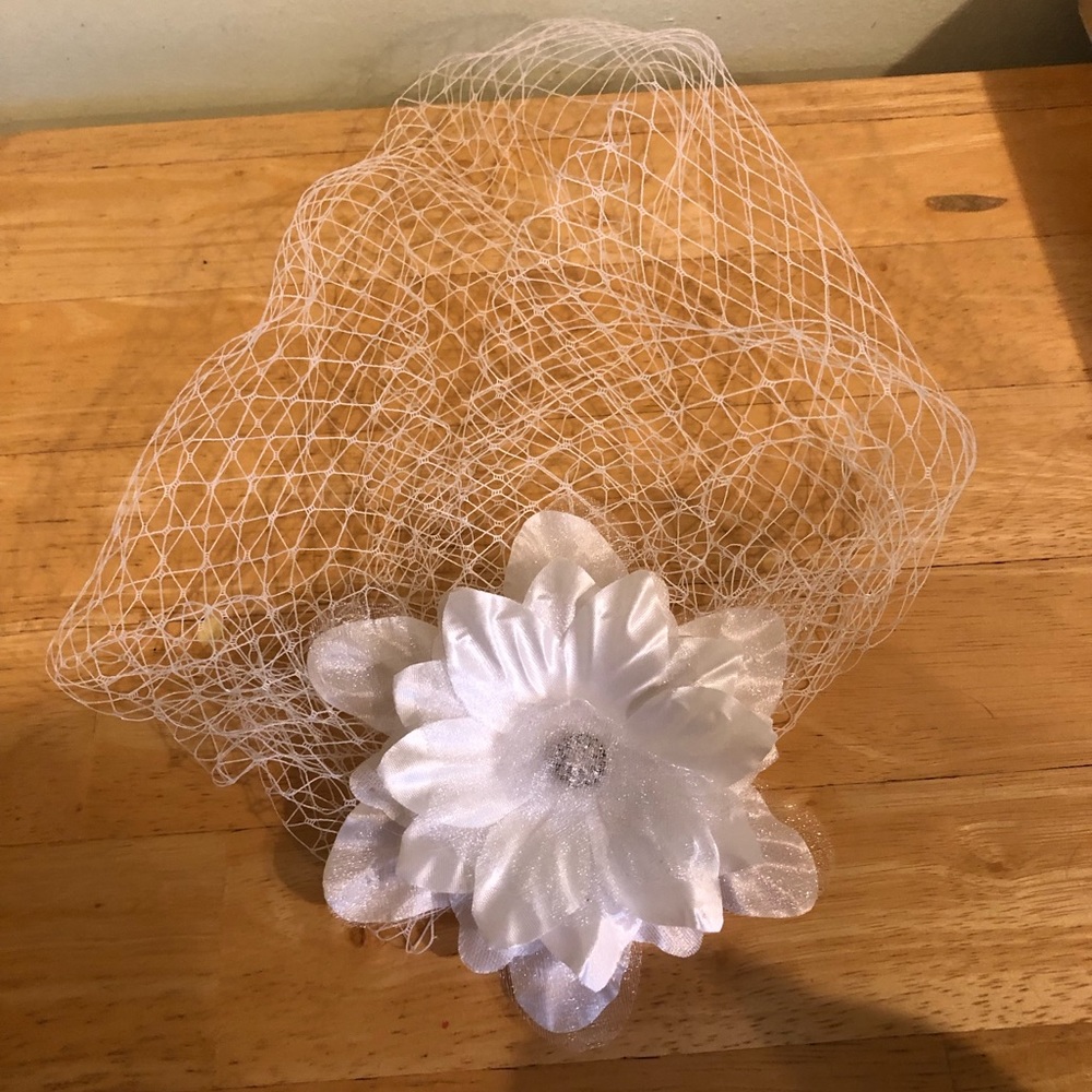 Birdcage veil never used